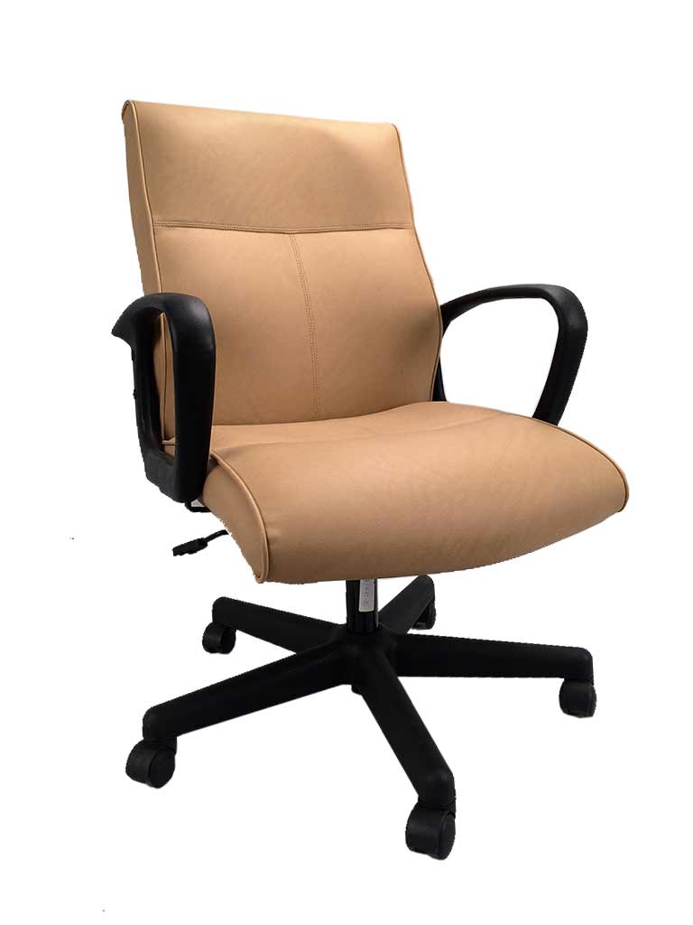 The Executive Office Chair